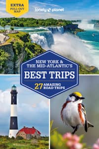 Lonely Planet New Yo...