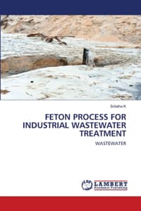 Feton Process for In...