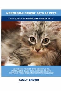 Norwegian Forest Cat...