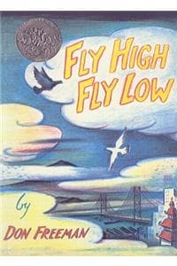 Fly High, Fly Low