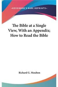 Bible at a Single Vi...