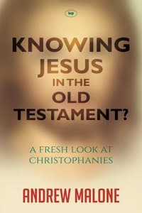 Knowing Jesus in the...