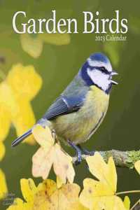 Garden Birds 2023 Wa...