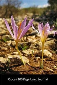 Crocus