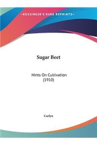 Sugar Beet