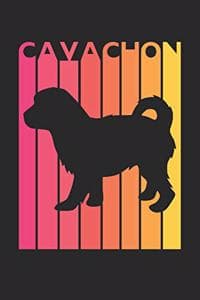 Vintage Cavachon Not...