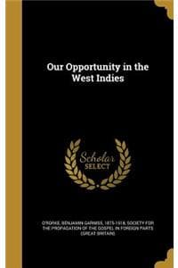 Our Opportunity in t...