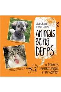 Animals Being Derps ...