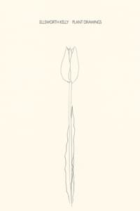 Ellsworth Kelly
