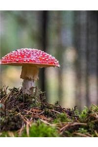 Mushroom Mushrooms F...