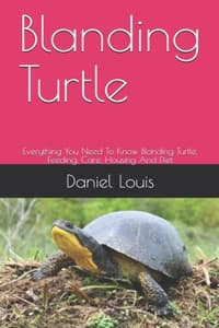 Blanding Turtle