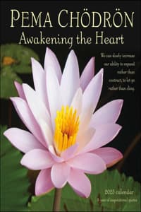 Pema Chodron 2025 Wa...