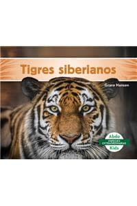 Tigres Siberianos (S...