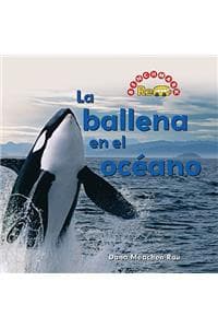 Ballena En El Océano...