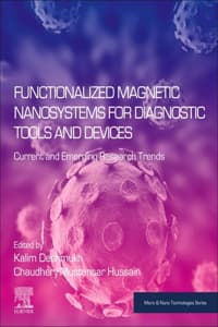 Functionalized Magne...