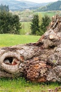 Felled Tree in a Fie...