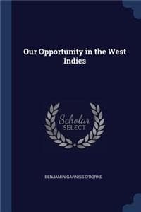 Our Opportunity in t...