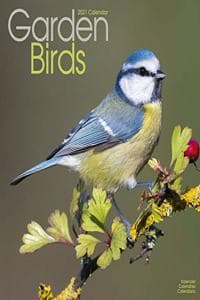 Garden Birds 2021 Wa...