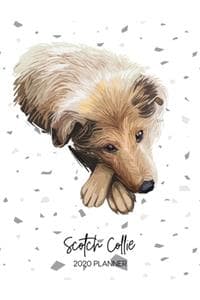 Scotch Collie 2020 P...