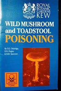 Wild Mushroom and To...
