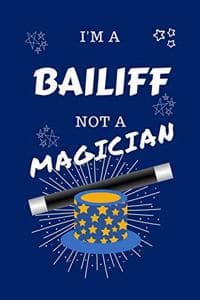 I'm A Bailiff Not A ...