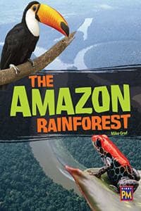 Amazon Rain Forest