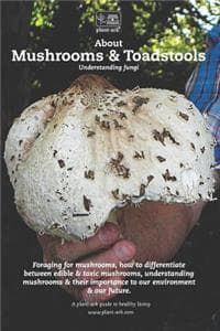 About Mushrooms & To...