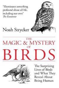 Magic and Mystery of...