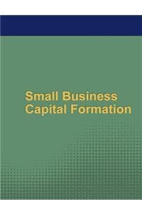 Small Business Capit...