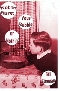 Not to Burst Your Bu...