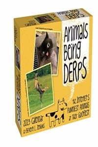 Animals Being Derps ...