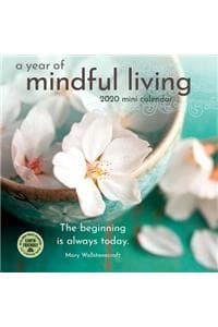 A Year of Mindful Li...