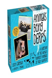 Animals Being Derps ...