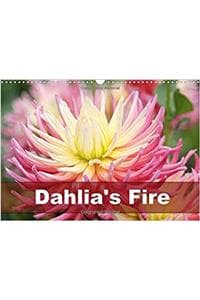 Dahlia's Fire 2017
