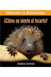 ¿Cómo Se Siente Al T...