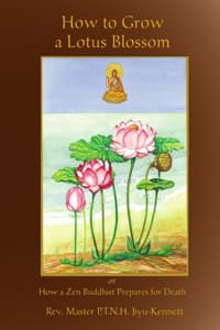 How to Grow a Lotus ...
