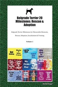 Belgrade Terrier 20 ...