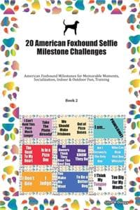 20 American Foxhound...