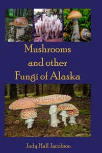 Mushrooms and other ...