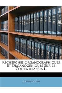 Recherches Organogra...