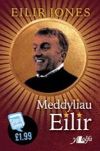 Stori Sydyn: Meddyli...