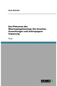 Das Phänomen des Mee...
