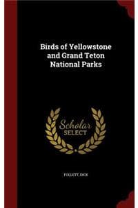 Birds of Yellowstone...