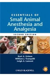 Essentials of Small ...
