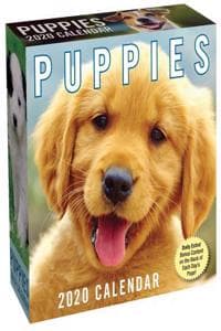 Puppies 2020 Day-To-...
