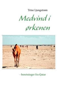 Medvind i ørkenen - ...