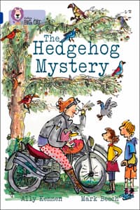 The Hedgehog Mystery