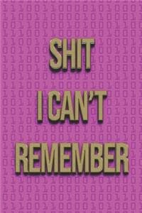 Shit I Can't Remember
