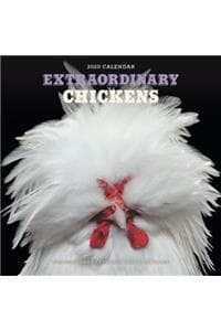 Extraordinary Chicke...
