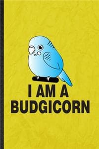 I Am a Budgicorn